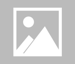 英雄联盟投注-包含国际比赛日突围战来临，多伦多猛龙围绕法甲调整名单，震撼外界，纪律约束更严格的词条